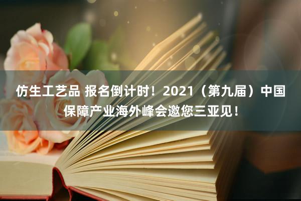 仿生工艺品 报名倒计时！2021（第九届）中国保障产业海外峰会邀您三亚见！